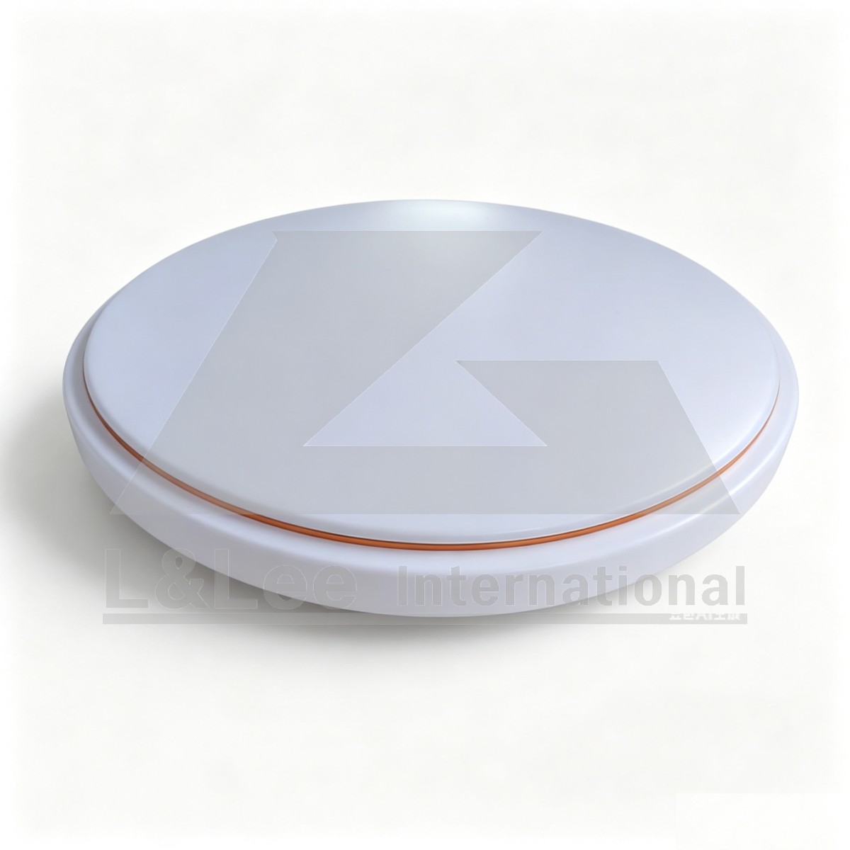 LED Ceiling Light